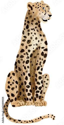 Wild animal, Leopard  watercolor painting