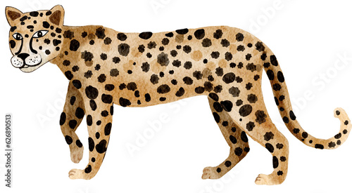 Wild animal, Leopard  watercolor painting