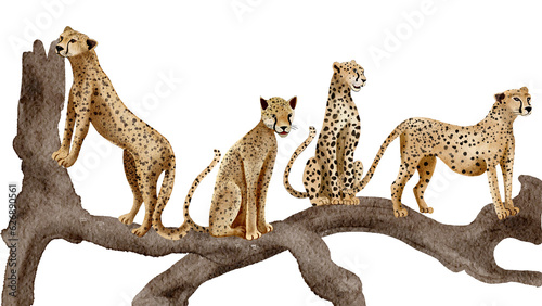 Wild animal, Leopard  watercolor painting