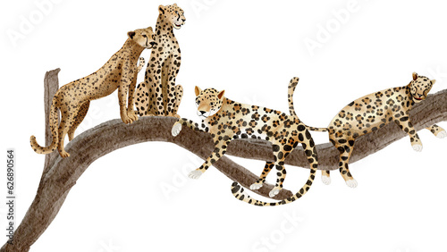 Wild animal, Leopard  watercolor painting