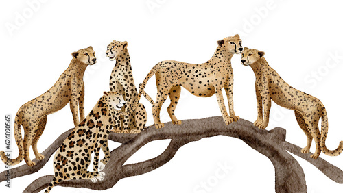 Wild animal, Leopard  watercolor painting