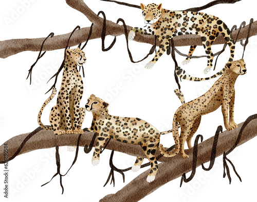 Wild animal, Leopard  watercolor painting