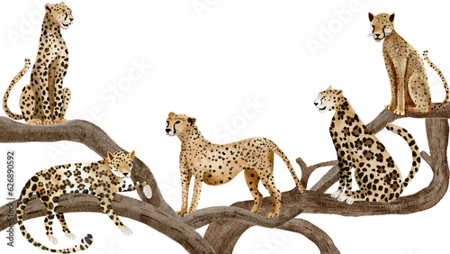 Wild animal, Leopard  watercolor painting