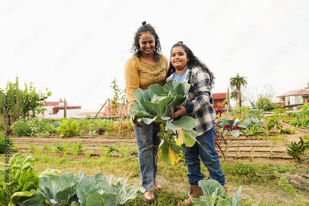 Indian mother and son collecting organic vegetables at home garden ...