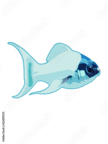 Vector illustration of a tuna fish on a white background. Isolated