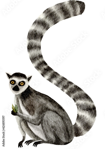 Lemur watercolor painting © jenjira