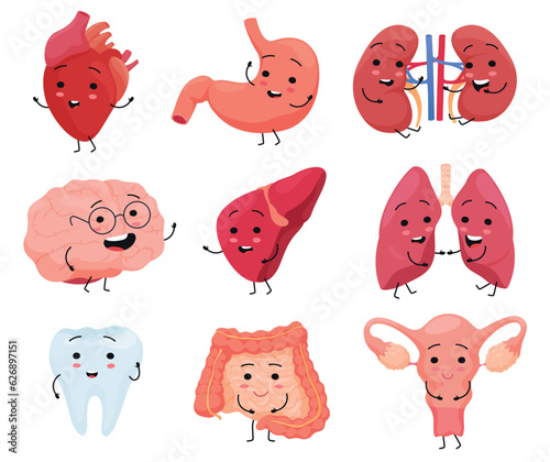 Cartoon characters of human organs. Cheerful with the face of human organs. Human anatomy for children. Vector illustration