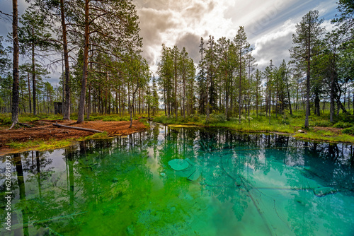 Crystal Clear Artesian Spring in Northern Sweden photo