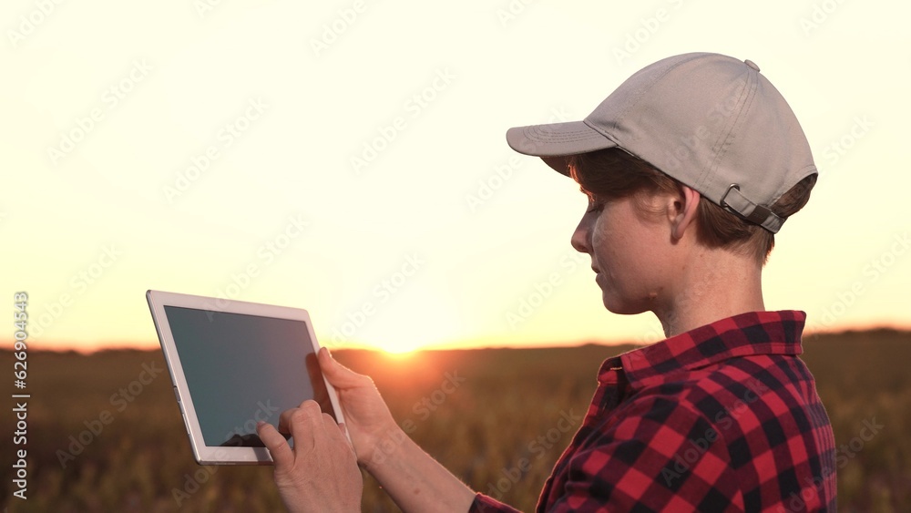 farmer tablet hand. farmer own farm using tablet engage digital agriculture. smart man looks beautiful sunset harvesting crops. crop harvesting wheat. farmer experienced agronomist. concept eco