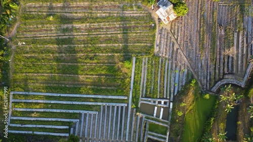 Aerial view of plantation area being plowed by tractor for planting photo