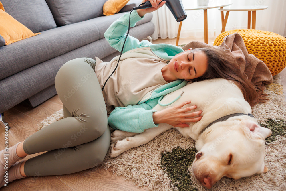 Woman using hair dryer while drying her dog after a bath Stock Photo
