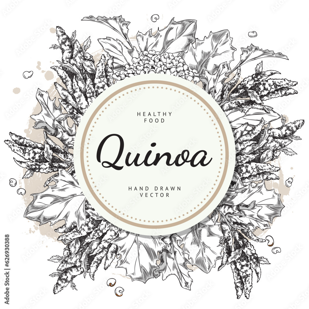 Engraved Quinoa branch with flowers, leave and seeds, healthy food vector hand drawn design label round shape, lettering