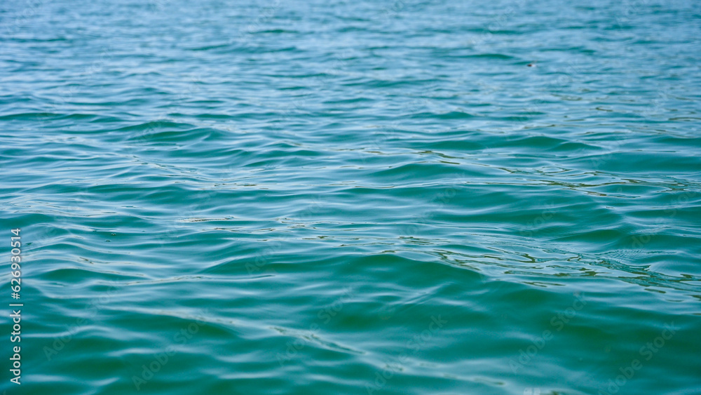 Fototapeta premium Water surface. The green color of the lake. Waves on the water.