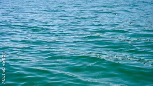 Water surface. The green color of the lake. Waves on the water.
