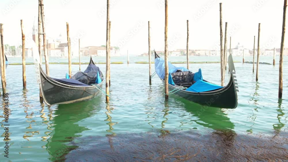 4K video of moored Traditional Venetian gondolas rocking floating on the rocking on the green waves of the channel, embankment at the Piazza San Marco, Mediterian sea, Venice, Veneto region, Italy. 4K video of moored Traditional Venetian gondolas rocking floating on the rocking on the green waves of the channel, embankment at the Piazza San Marco, Mediterian sea, Venice, Veneto region, Italy.