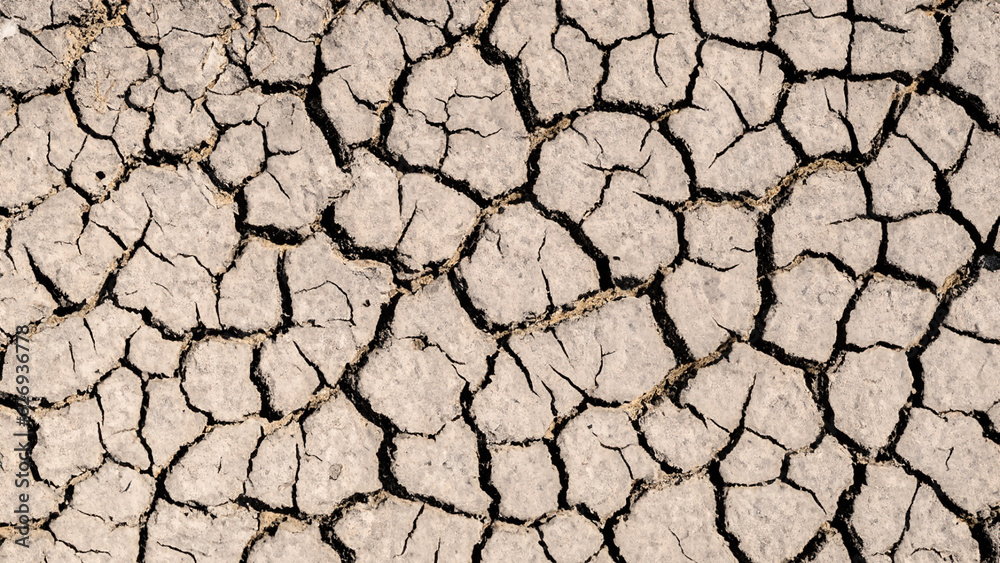 Texture of cracked and dried ground Texture of cracked and dried ground