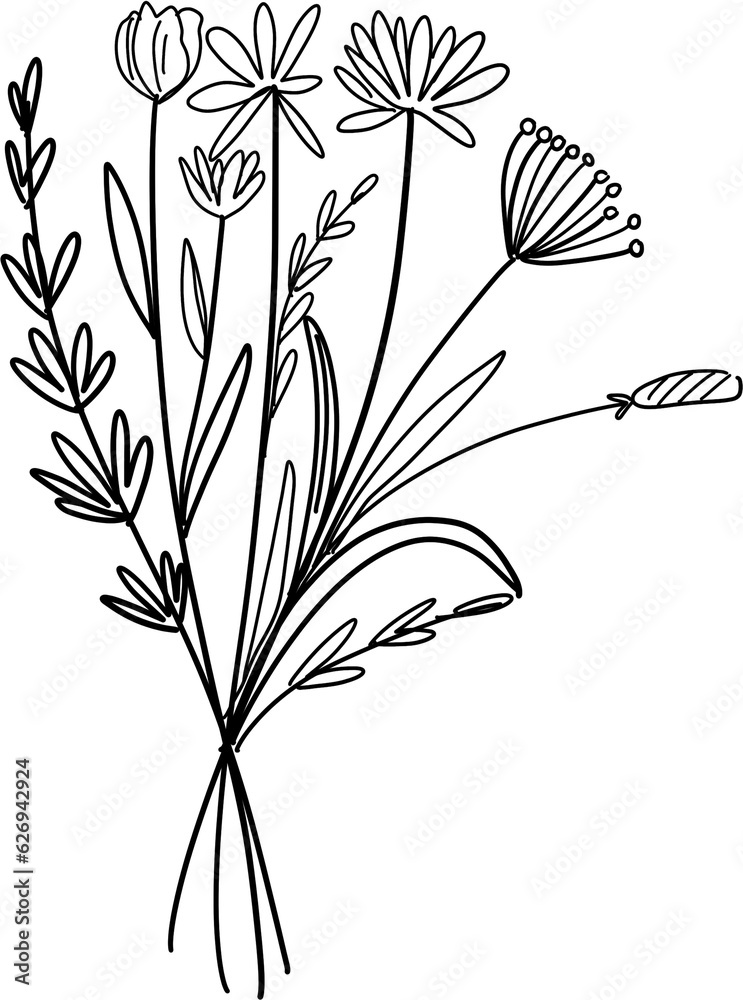 Obraz premium flower drawing line