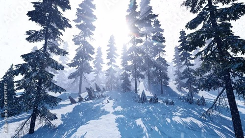 Camera movement in the winter garden