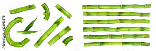 Green bamboo with leaves isolated on white background with full depth of field. Top view. Flat lay