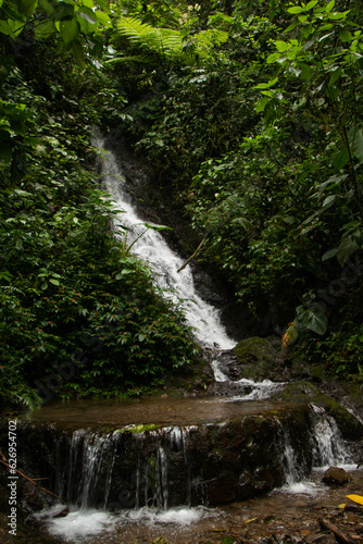 Waterfall surrounded by forest with a small natural pool, in the forests of the waterfall sanctuary in Mindo, Ecuador. 