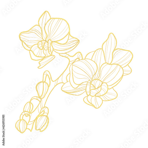 gold line art illustration with orchid flowers