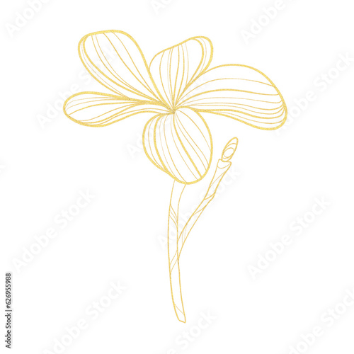 Gold outline illustration with tropical flower