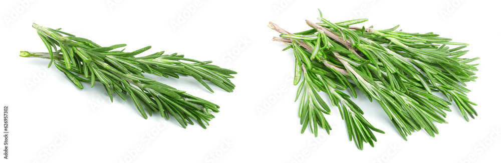Fresh green rosemary isolated on a white background Fresh green rosemary isolated on a white background