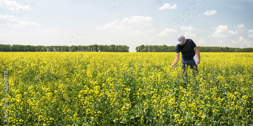 Man farmer examine the field of canola rapseed using checklist. Banner with place for text.