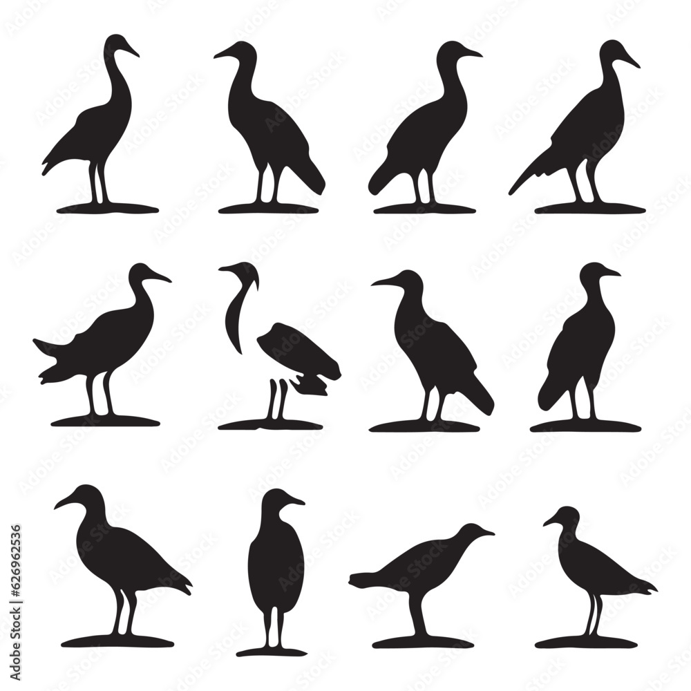 Obraz premium Albatross silhouettes Black flat color simple elegant Albatross animal vector and illustration