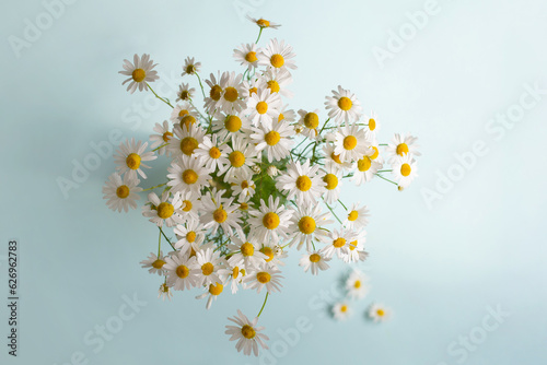 Obraz na płótnie bouquet of daisies top view on a blue background. w salonie