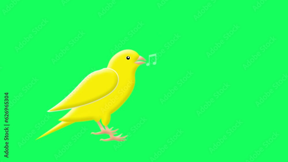 twitter canary chirping and singing greenscreen animation yellow bird chirping bird animation twitter canary chirping and singing greenscreen animation yellow bird chirping bird animation