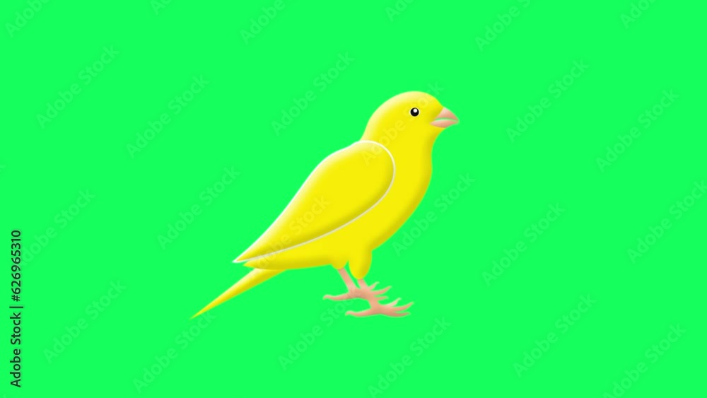 twitter canary chirping and singing greenscreen animation yellow bird chirping bird animation twitter canary chirping and singing greenscreen animation yellow bird chirping bird animation