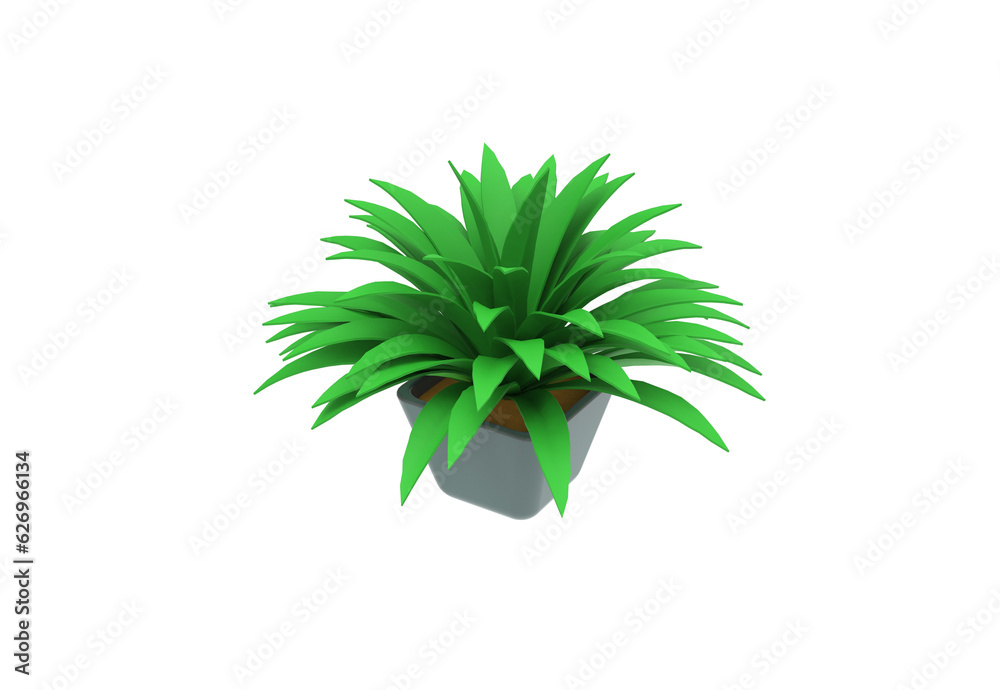 Spider Plant top view without shadow 3d render