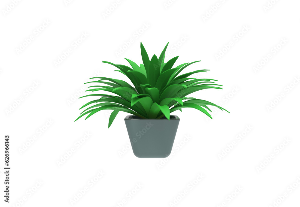 Spider Plant front view without shadow 3d render Spider Plant front view without shadow 3d render