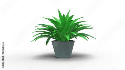 Spider Plant front view with shadow 3d render