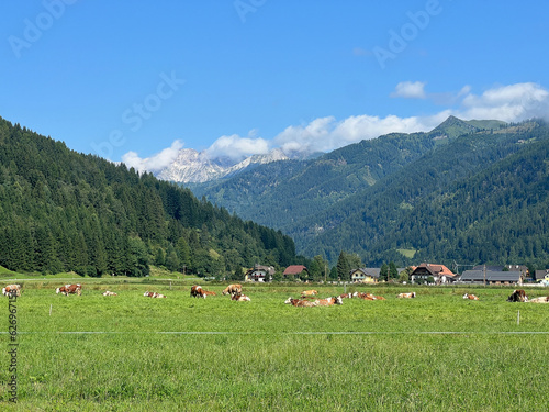 Summer landscape with mountains forests and cloudy sky in Alpes. Austria. Tranquility. Beauty and tranquility in farming. Natural and healthy living in a village. 