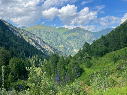 Summer landscape with mountains forests and cloudy sky in Alpes. Austria. Tranquility. Beauty and tranquility in farming. Natural and healthy living in a village. 