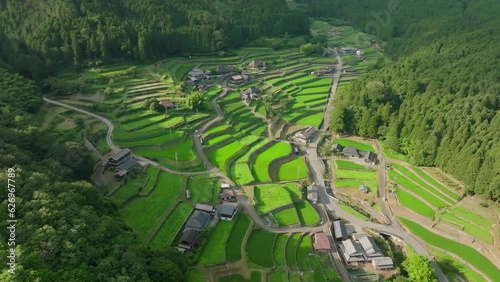 Slow move towards sunlight on terraced rice fields in quiet village