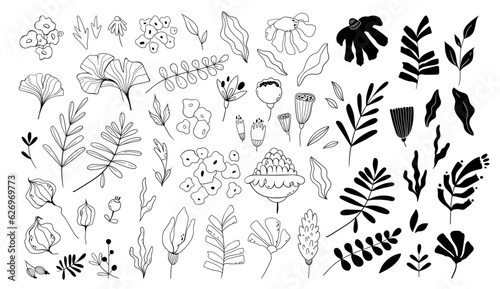 Set of hand painted mystic black and white vector flowers and leaves, branch silhouettes. Botanical cliparts summer or spring plants, Magic botany elements
