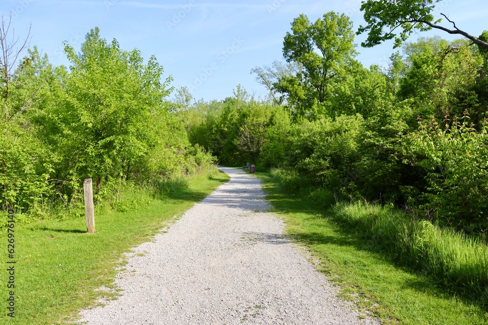 The empty gravel path in the country on a sunny day.