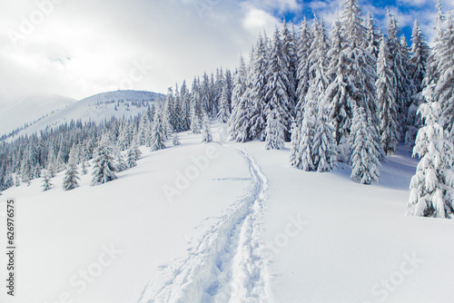 Path in the snow in the snow-capped mountains during the winter climbing to the Ukrainian peak Hoverla © Tetiana_Chykalova