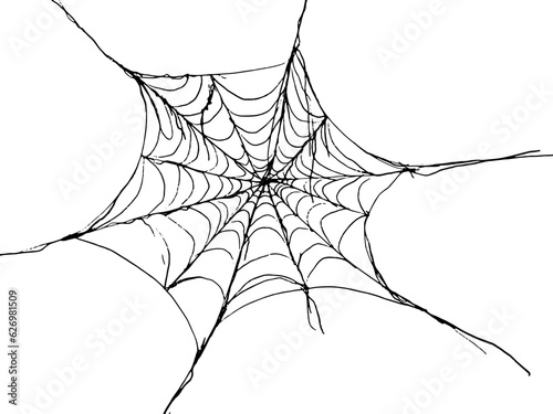 Halloween Spider Web.