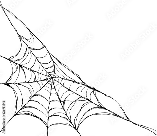 Halloween Spider Web.