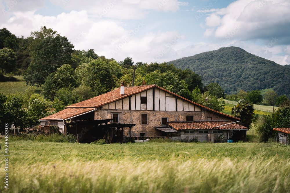 Rural house on green meadow with trees and mountain Rural house on green meadow with trees and mountain