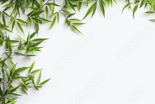Bamboo and leaf on white background.Generative Ai.