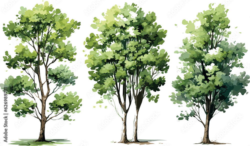 Tree watercolor style vector illustration set, graphics trees elements