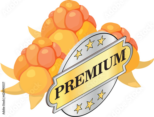 Organic cloudberry icon isometric vector. Fresh ripe cloudberry and premium sign. Quality concept, food, organic berry