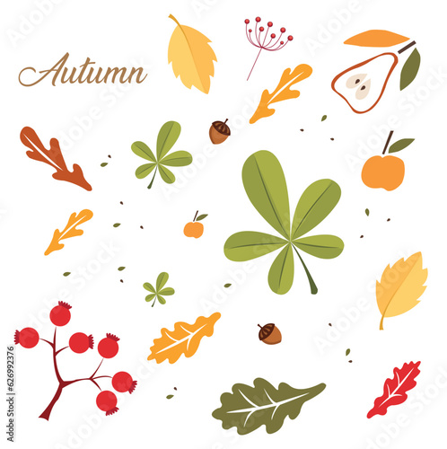Cartel de otoño con hojas y frutas seca. Vector
