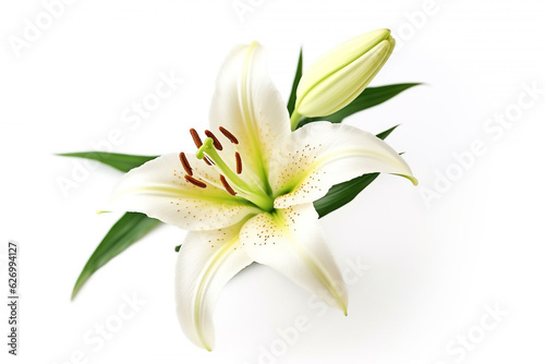 Lily flower isolated on white background.Generative Ai.
