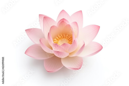 Pink lotus flower isolated on white background.Generative Ai.